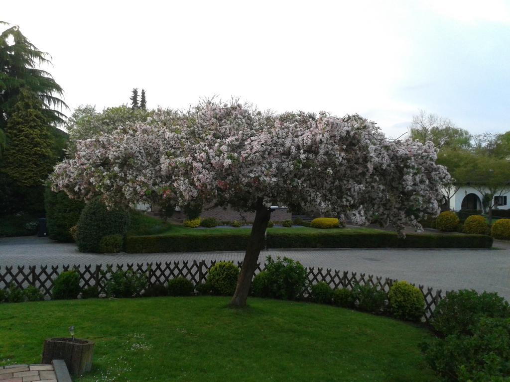Rene'S B&B Kerkrade Exterior photo